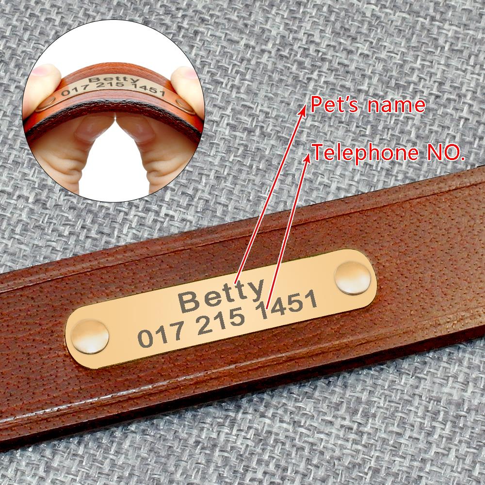 정품 가죽 작은 중형 개 고양이 목걸이 맞춤형 개 ID - Engraved Name Necklace 리뷰 및 가격